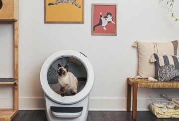 How To Keep Your Cat Happy and Clean with Litter-Robot